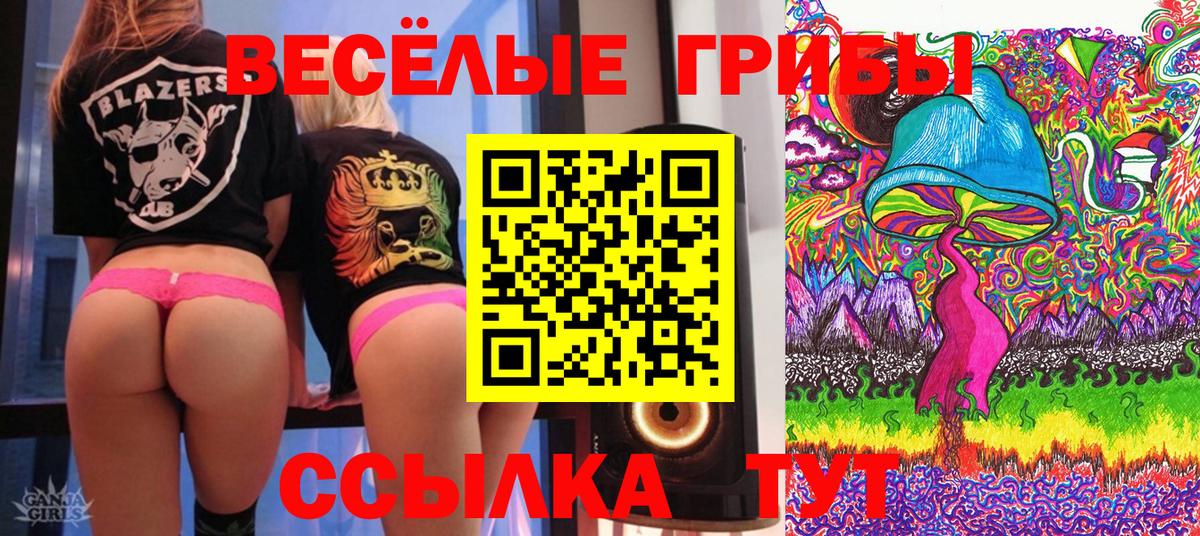 Псилоцибиновые грибы мицелий Гурьевск