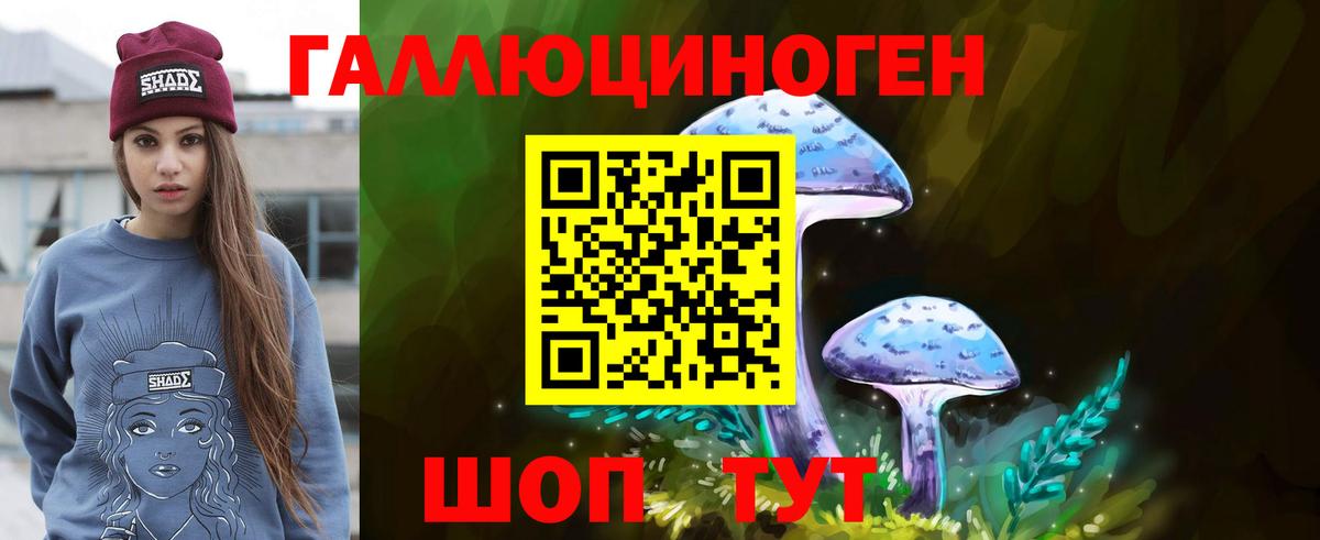 Галлюциногенные грибы Magic Shrooms  Вход с VPN  цены   Гурьевск 
